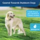 Product PetSafe® Stubborn Dog In-Ground Fence Kit