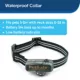 Product PetSafe® Little Dog In-Ground Fence - Designed for Dogs 5lb and Up