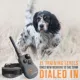 Product SportDOG® Brand SportHunter 1225X E-Collar - 3/4 Mile Range