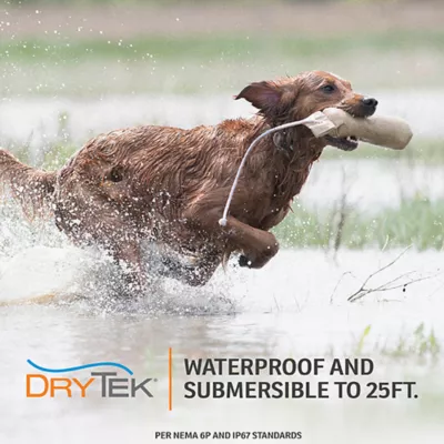 Product SportDOG® Brand WetlandHunter 1825X Remote Trainer