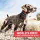 Product SportDOG® Brand FieldSentinel 825 - Remote Trainer