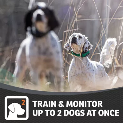 Product SportDOG® Brand FieldSentinel 825 - Remote Trainer