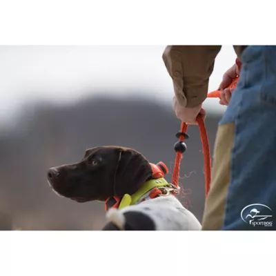 Product SportDOG® Brand Uplander 1875 Remote Trainer