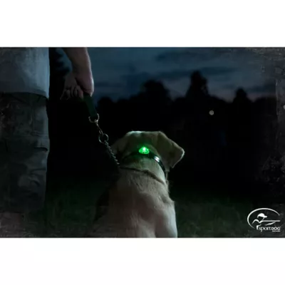 Product SportDOG® Brand Locator Beacon