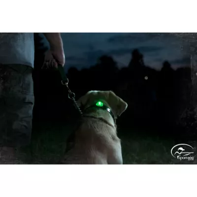 Product SportDOG® Brand Locator Beacon