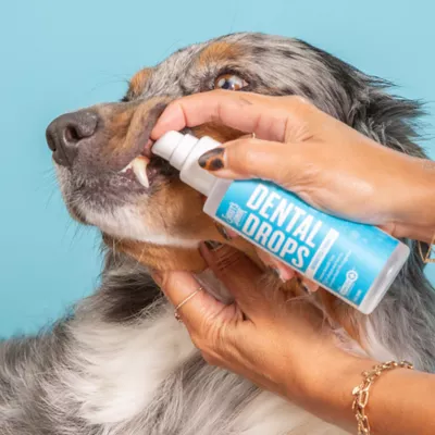 Product Skout's Honor, Advanced Dental Drops