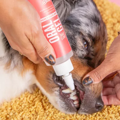 Product Skout's Honor, Oral Gel: Peanut Butter & Bacon