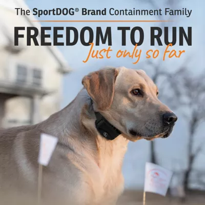 Product SportDOG® Brand SDF-100C In-Ground Fence System