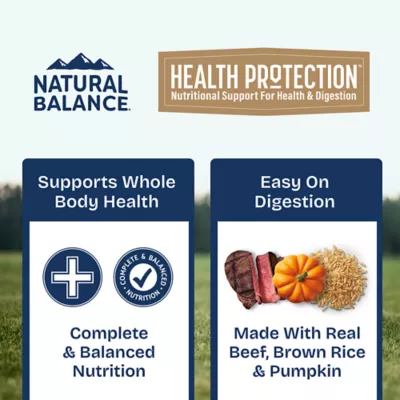 Product Natural Balance Health Protection Adult Wet Dog Food - Beef & Pumpkin Stew, 12.5 oz.