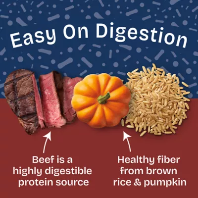 Product Natural Balance Health Protection Adult Wet Dog Food - Beef & Pumpkin Stew, 12.5 oz.