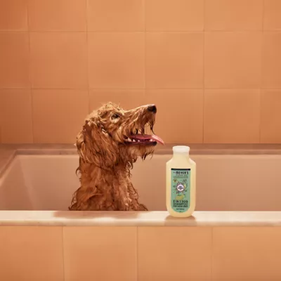 Product Mrs. Meyer's Clean Day 3 in 1 Dog Shampoo - Sweet Chamomile, 14 oz