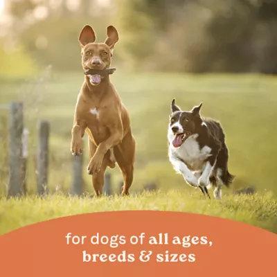 Product Canidae All Life Stages Chunky Stew Toppers All Life Stage Wet Dog Food - Beef & Vegetable