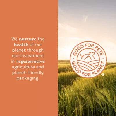 Product Canidae All Life Stages Chunky Stew Toppers All Life Stage Wet Dog Food - Multi-Protein & Vegetable