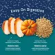 Product Natural Balance Health Protection Puppy Dry Dog Food - Chicken, Brown Rice & Pumpkin