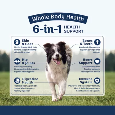 Product Natural Balance Health Protection Adult Dry Dog Food - Chicken, Brown Rice & Pumpkin