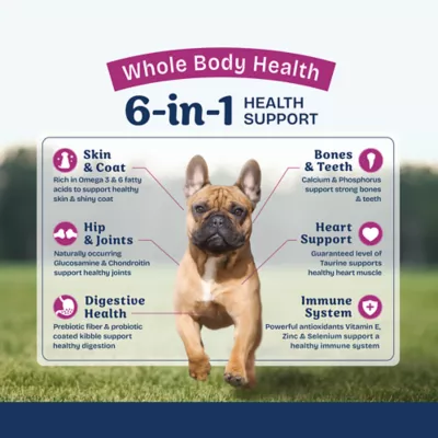 Product Natural Balance Health Protection Small Breed Adult Dog Dry Food - Chicken, Brown Rice & Pumpkin
