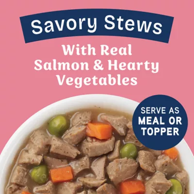 Product Natural Balance Health Protection Adult Wet Dog Food - Salmon, Pumpkin & Rice, 12.5 oz