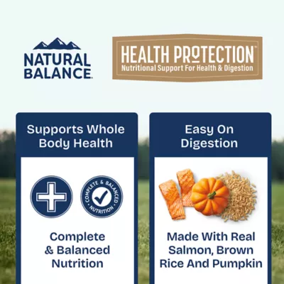 Product Natural Balance Health Protection Adult Wet Dog Food - Salmon, Pumpkin & Rice, 12.5 oz