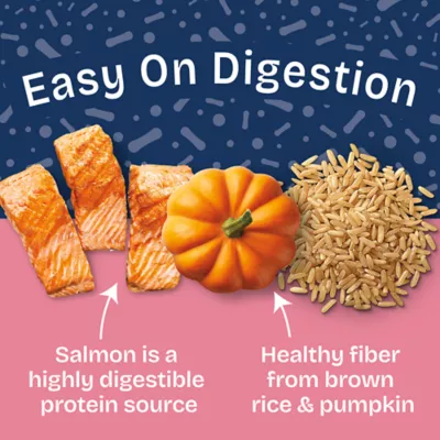 Product Natural Balance Health Protection Adult Wet Dog Food - Salmon, Pumpkin & Rice, 12.5 oz