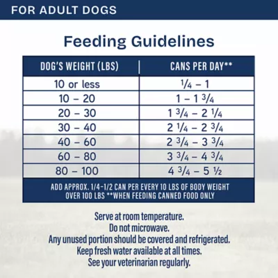 Product Natural Balance Health Protection Adult Wet Dog Food - Salmon, Pumpkin & Rice, 12.5 oz