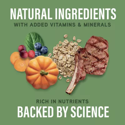Product Natural Balance Specialized Nutrition Digestive & Immune Health Adult Dog Dry Food - Lamb & Oatmeal