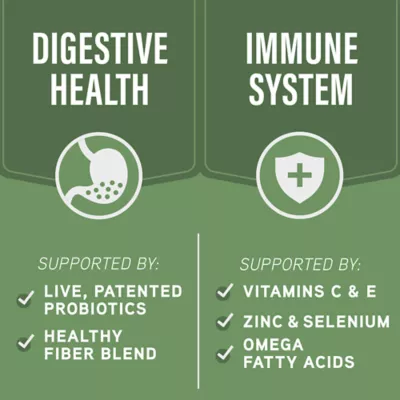 Product Natural Balance Specialized Nutrition Digestive & Immune Health Adult Dog Dry Food - Lamb & Oatmeal