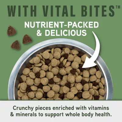 Product Natural Balance Specialized Nutrition Digestive & Immune Health Adult Dog Dry Food - Lamb & Oatmeal
