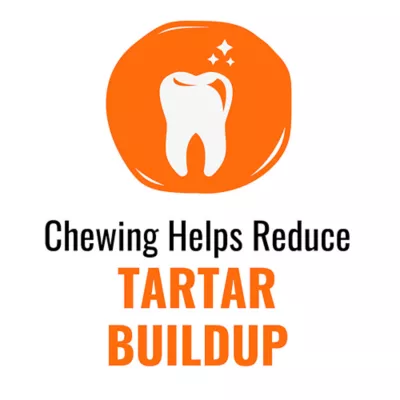 Product Good 'n' Fun Triple Flavor Kabob 12 OZ