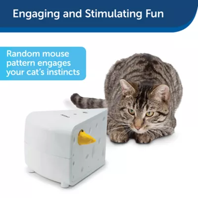 Product PetSafe® Cheese Automatic Cat Toy