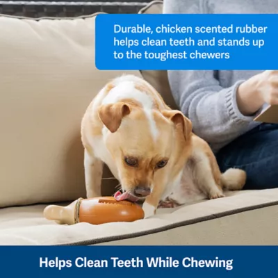 Product PetSafe® Busy Buddy® Chompin' Chicken Dog Toy