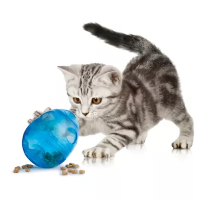 Product PetSafe® Funkitty Egg-Cersizer Cat Toy
