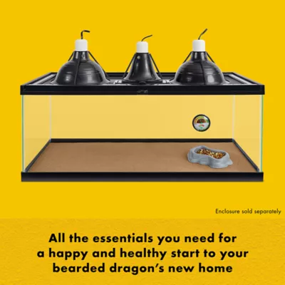 Product Zilla® Bearded Dragon Habitat Accessory Kit