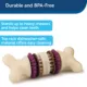 Product PetSafe® Busy Buddy® Bristle Bone®