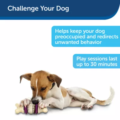 Product PetSafe® Busy Buddy® Bristle Bone®