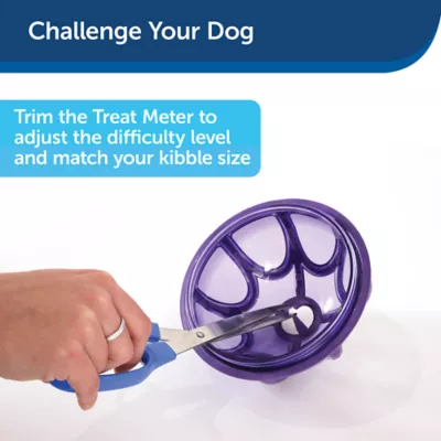 Product PetSafe® Busy Buddy® Kibble Nibble Dog Toy