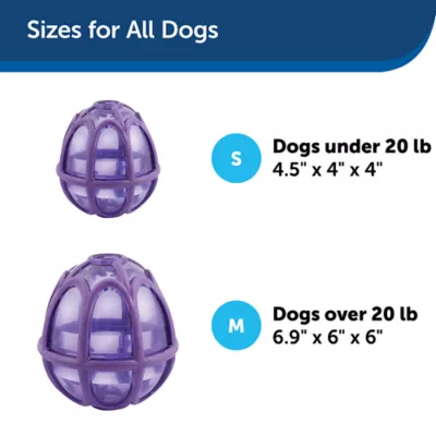 Product PetSafe® Busy Buddy® Kibble Nibble Dog Toy