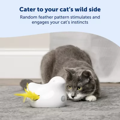 Product PetSafe® Peek-a-Bird Automatic Cat Toy