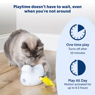Product PetSafe® Peek-a-Bird Automatic Cat Toy