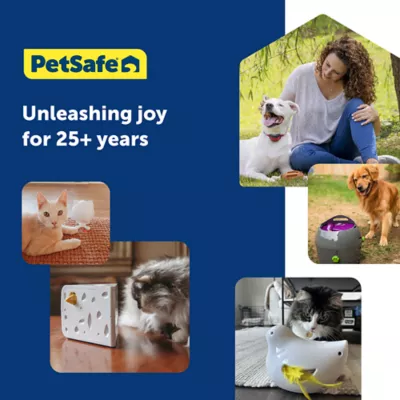 Product PetSafe® Peek-a-Bird Automatic Cat Toy