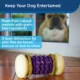 Product PetSafe® Busy Buddy® Nobbly Nubbly Large