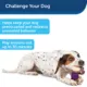 Product PetSafe® Busy Buddy® Nobbly Nubbly Large