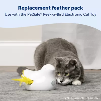 Product PetSafe® Peek-a-Bird Electronic Cat Toy