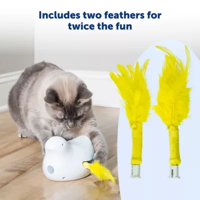 Product PetSafe® Peek-a-Bird Electronic Cat Toy