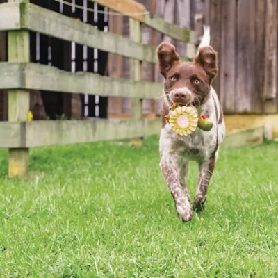 Product PetSafe® Sportsmen Squeeze Meeze Dog Toy
