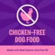 Product Wellness Complete Health Sensitive Skin & Stomach Adult Dry Dog Food - Salmon & Rice