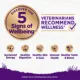 Product Wellness Complete Health Sensitive Skin & Stomach Adult Dry Dog Food - Salmon & Rice