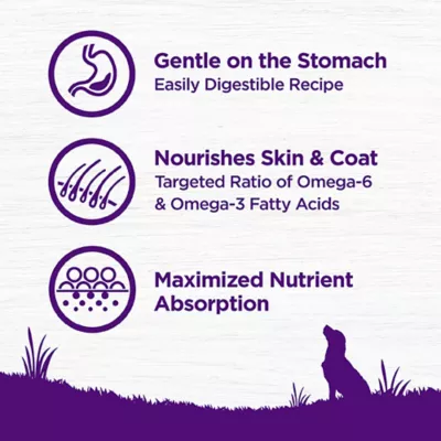 Product Wellness Complete Health Sensitive Skin & Stomach Adult Dry Dog Food - Salmon & Rice