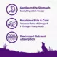 Product Wellness Complete Health Sensitive Skin & Stomach Adult Dry Dog Food - Salmon & Rice