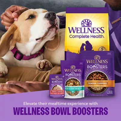 Product Wellness Complete Health Sensitive Skin & Stomach Adult Dry Dog Food - Salmon & Rice