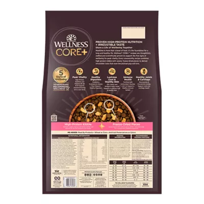 Product Wellness CORE+ Sensitive Skin & Stomach Adult Dry Dog Food - Salmon & Rice